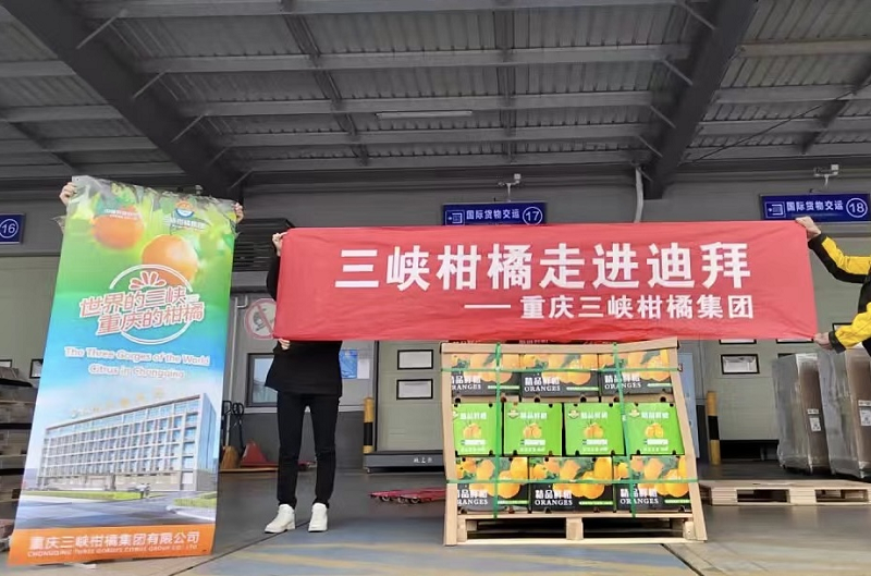 1710494432350349.png 圖片12.png