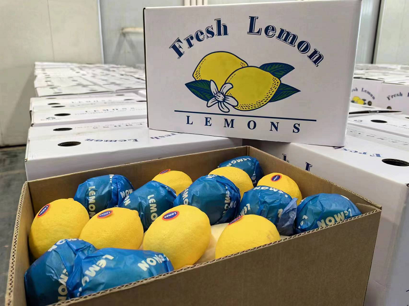 1722580262806539.png 圖片2.png