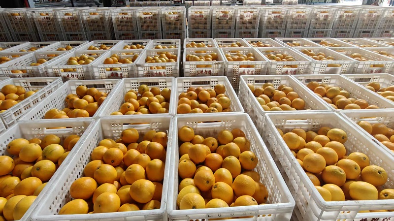 1761897080746117.jpg 微信圖片_20251031143928.jpg